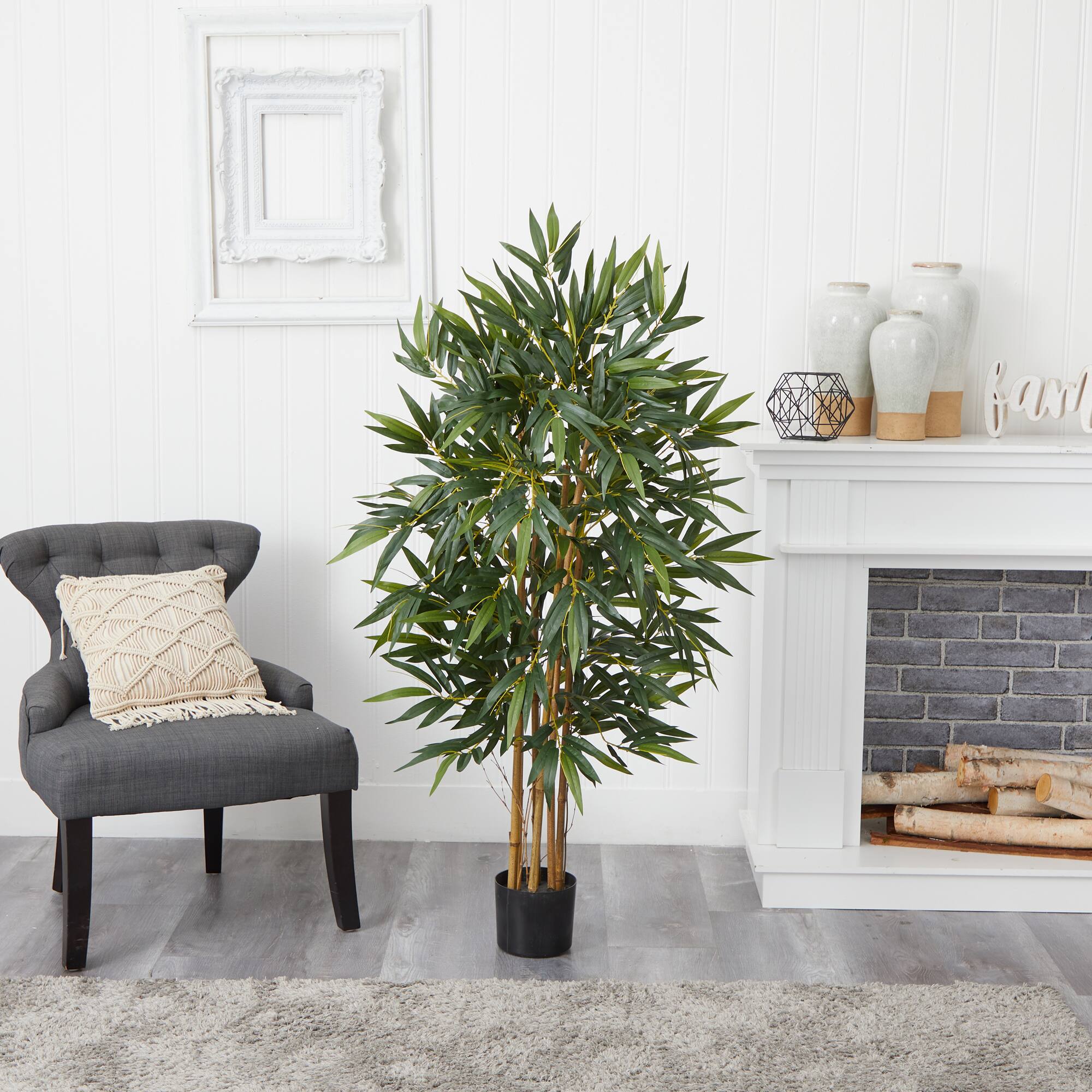 4ft. Potted Biggy Bamboo Tree